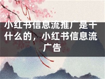 小紅書信息流推廣是干什么的，小紅書信息流廣告