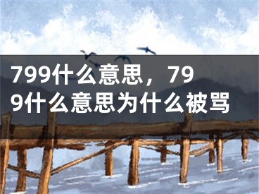 799什么意思，799什么意思為什么被罵