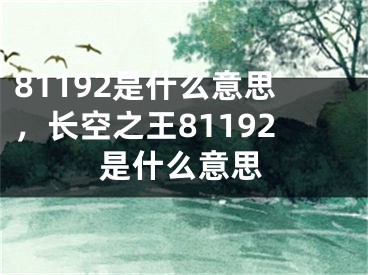 81192是什么意思，長空之王81192是什么意思