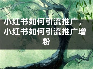 小紅書如何引流推廣，小紅書如何引流推廣增粉