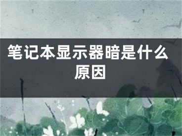 筆記本顯示器暗是什么原因