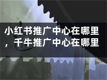 小紅書推廣中心在哪里，千牛推廣中心在哪里