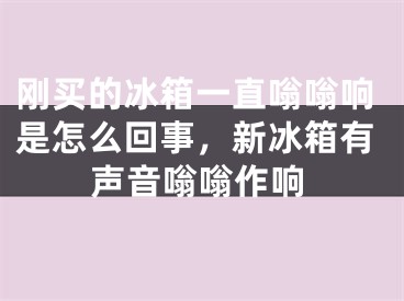 剛買(mǎi)的冰箱一直嗡嗡響是怎么回事，新冰箱有聲音嗡嗡作響