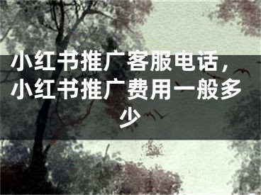 小紅書推廣客服電話，小紅書推廣費(fèi)用一般多少