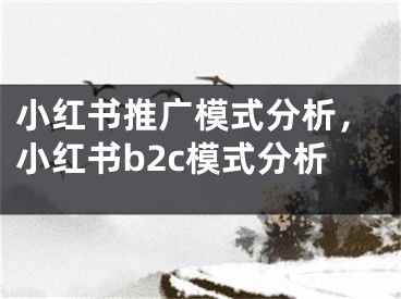 小紅書推廣模式分析，小紅書b2c模式分析