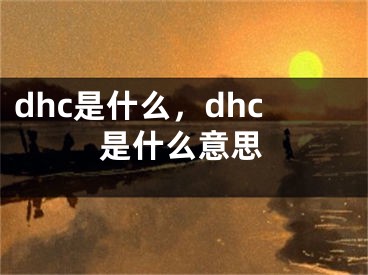 dhc是什么，dhc是什么意思