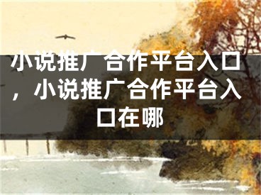 小說推廣合作平臺入口，小說推廣合作平臺入口在哪