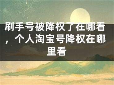 刷手號被降權了在哪看，個人淘寶號降權在哪里看