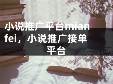 小說推廣平臺mianfei，小說推廣接單平臺