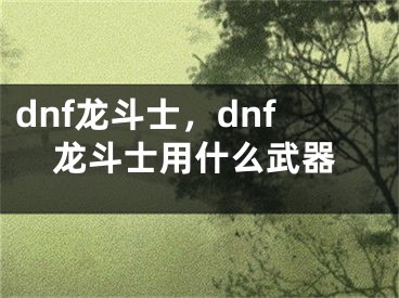 dnf龍斗士，dnf龍斗士用什么武器