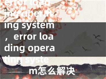 error loading operating system，error loading operating system怎么解決