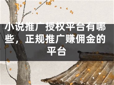 小說推廣授權(quán)平臺(tái)有哪些，正規(guī)推廣賺傭金的平臺(tái)