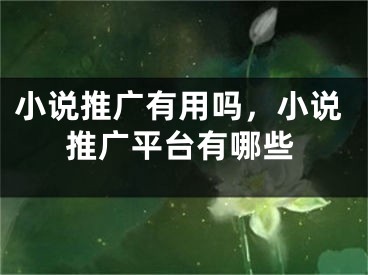 小說推廣有用嗎，小說推廣平臺(tái)有哪些