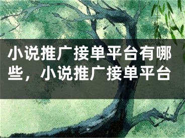 小說推廣接單平臺有哪些，小說推廣接單平臺