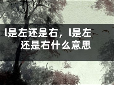 l是左還是右，l是左還是右什么意思