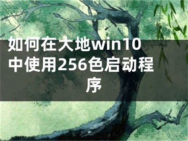 如何在大地win10中使用256色啟動(dòng)程序