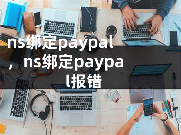 ns綁定paypal，ns綁定paypal報錯