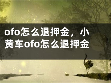 ofo怎么退押金，小黃車ofo怎么退押金