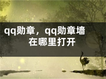 qq勛章，qq勛章墻在哪里打開