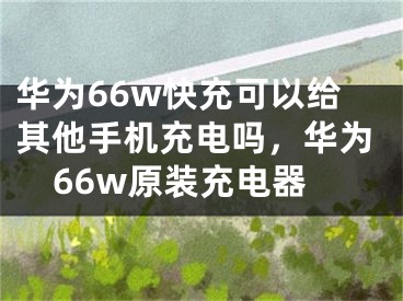 華為66w快充可以給其他手機(jī)充電嗎，華為66w原裝充電器