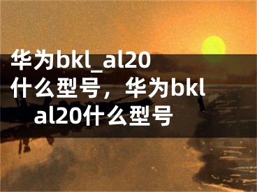 華為bkl_al20什么型號(hào)，華為bklal20什么型號(hào)