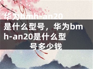 華為bmh-an20是什么型號(hào)，華為bmh-an20是什么型號(hào)多少錢