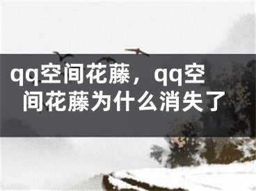 qq空間花藤，qq空間花藤為什么消失了