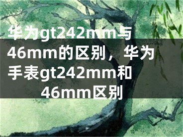 華為gt242mm與46mm的區(qū)別，華為手表gt242mm和46mm區(qū)別