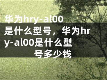 華為hry-al00是什么型號(hào)，華為hry-al00是什么型號(hào)多少錢