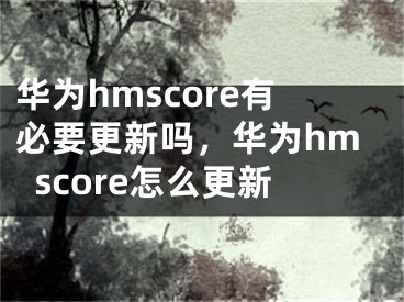 華為hmscore有必要更新嗎，華為hmscore怎么更新