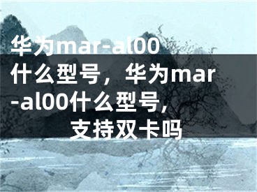 華為mar-al00什么型號，華為mar-al00什么型號,支持雙卡嗎