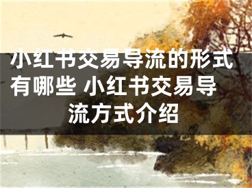 小紅書交易導(dǎo)流的形式有哪些 小紅書交易導(dǎo)流方式介紹