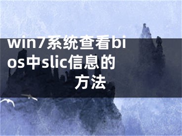 win7系統(tǒng)查看bios中slic信息的方法