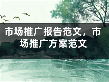 市場推廣報告范文，市場推廣方案范文