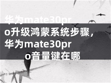 華為mate30pro升級鴻蒙系統(tǒng)步驟，華為mate30pro音量鍵在哪