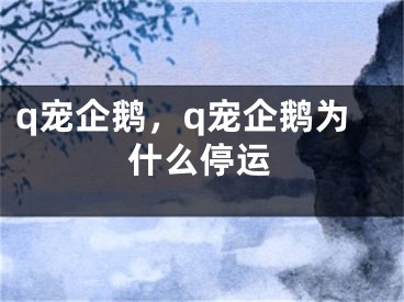 q寵企鵝，q寵企鵝為什么停運(yùn)