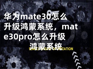 華為mate30怎么升級鴻蒙系統(tǒng)，mate30pro怎么升級鴻蒙系統(tǒng)