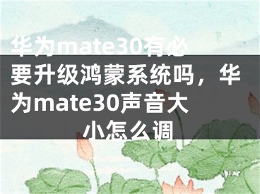 華為mate30有必要升級(jí)鴻蒙系統(tǒng)嗎，華為mate30聲音大小怎么調(diào)