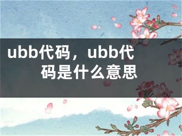 ubb代碼，ubb代碼是什么意思