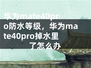 華為mate40pro防水等級(jí)，華為mate40pro掉水里了怎么辦