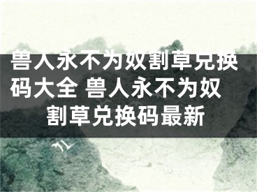 獸人永不為奴割草兌換碼大全 獸人永不為奴割草兌換碼最新