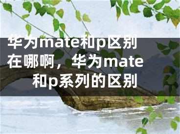 華為mate和p區(qū)別在哪啊，華為mate和p系列的區(qū)別