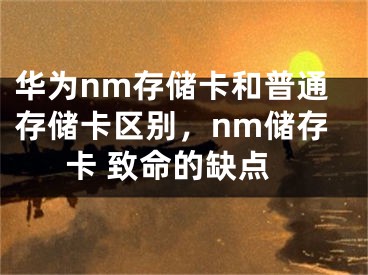 華為nm存儲卡和普通存儲卡區(qū)別，nm儲存卡 致命的缺點(diǎn)