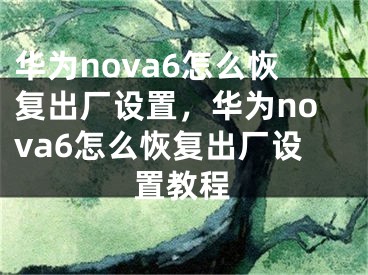 華為nova6怎么恢復(fù)出廠設(shè)置，華為nova6怎么恢復(fù)出廠設(shè)置教程