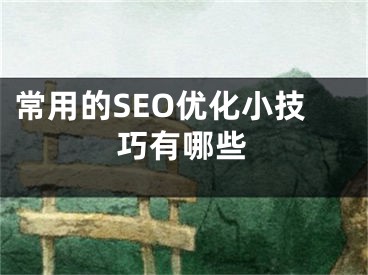 常用的SEO優(yōu)化小技巧有哪些