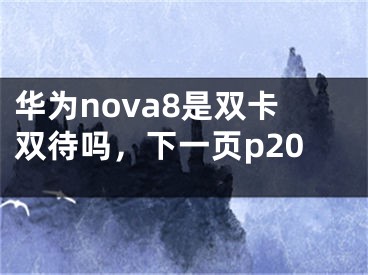 華為nova8是雙卡雙待嗎，下一頁p20