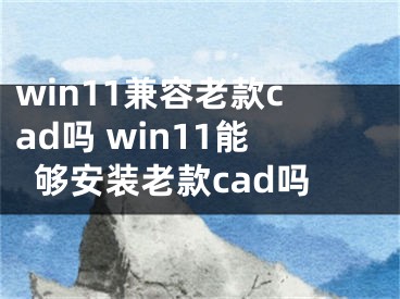 win11兼容老款cad嗎 win11能夠安裝老款cad嗎