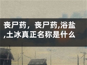 喪尸藥，喪尸藥,浴鹽,土冰真正名稱是什么