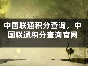 中國聯(lián)通積分查詢，中國聯(lián)通積分查詢官網(wǎng)