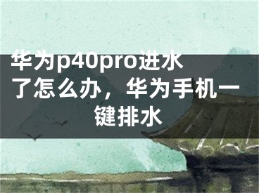 華為p40pro進(jìn)水了怎么辦，華為手機(jī)一鍵排水